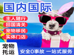 赤峰机场邮寄国际宠物托运 【国